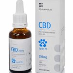 CBD olaj